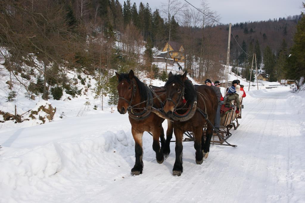 Willa Larysa Centro Wisla Bagian luar foto