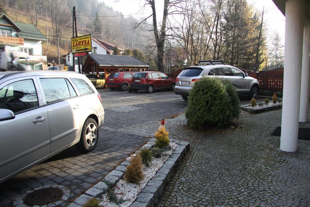 Willa Larysa Centro Wisla Bagian luar foto